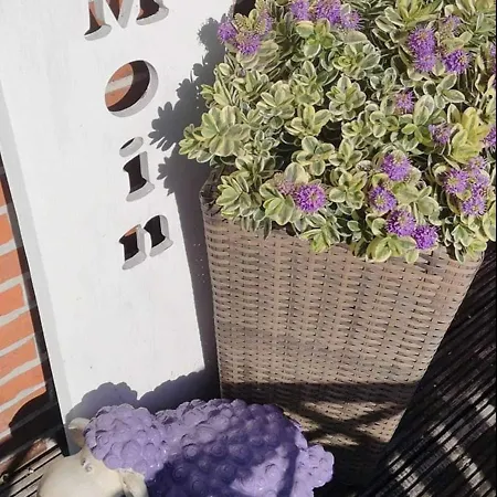 Ferienstubchen Julian Mit Dachterrasse Appartamento